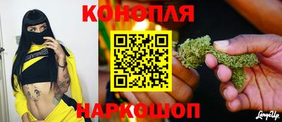 шишки Краснодар