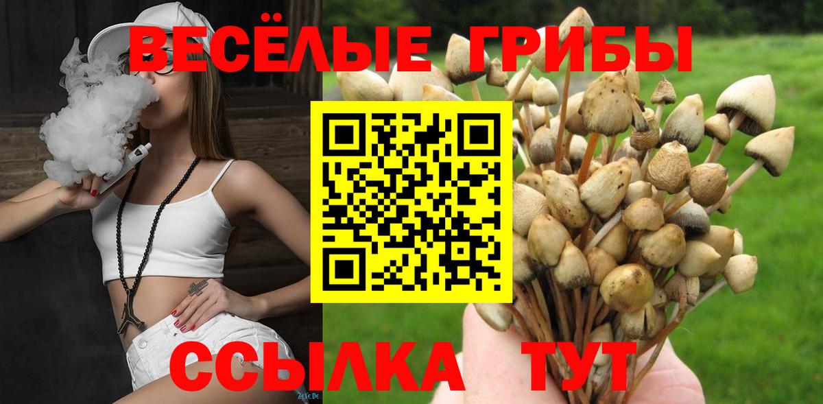 Псилоцибиновые грибы ЛСД  Вход с VPN  Кизляр 